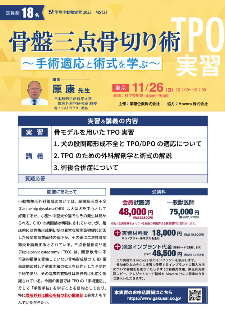 獣医師ハンズオン|TPO実習 骨盤三点骨切り術 原 康 先生