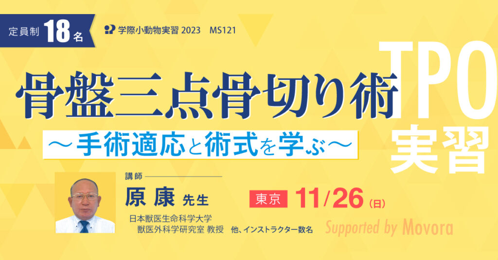 獣医師ハンズオン|TPO実習 骨盤三点骨切り術 原 康 先生