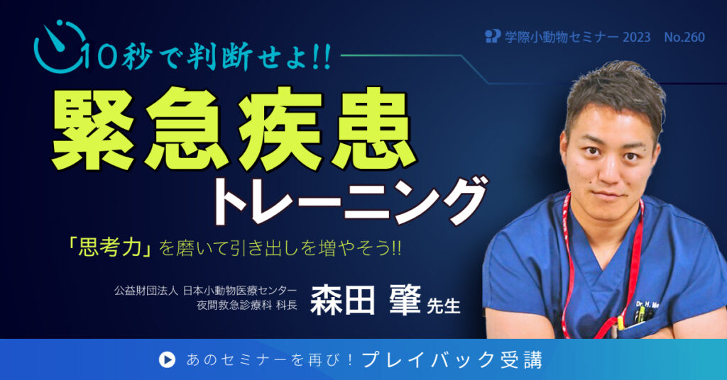 獣医師セミナー｜森田肇 先生「No.260 10秒で判断せよ！！緊急疾患トレーニング」