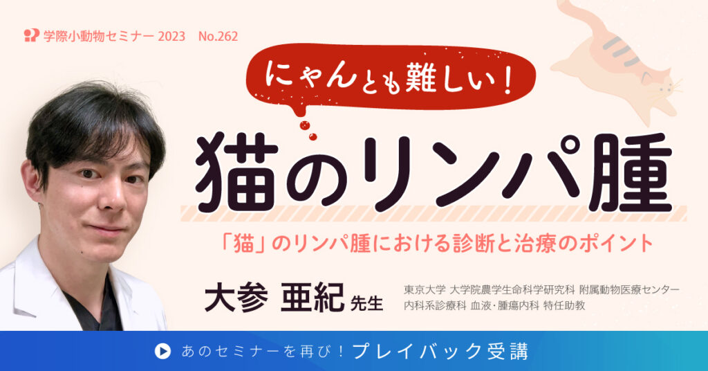 獣医師セミナー｜No.262 大参亜紀先生「にゃんとも難しい！猫のリンパ腫」