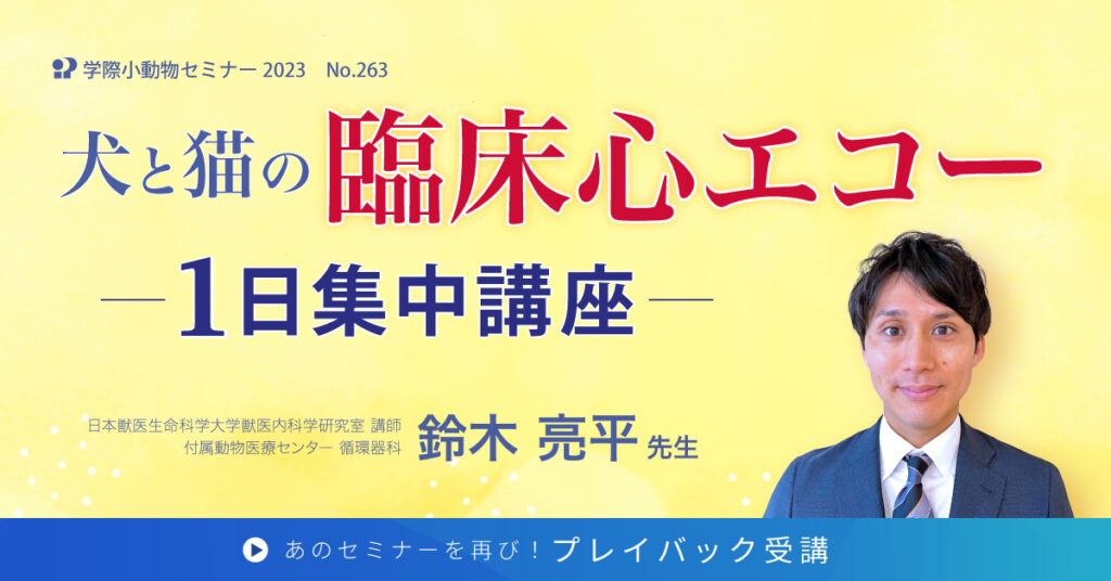 獣医師セミナー｜鈴木亮平 先生「No.263 犬と猫の臨床心エコー1日集中講座」