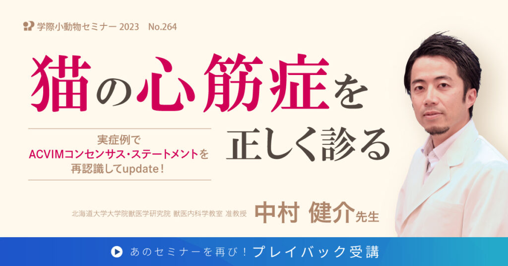 獣医師セミナー｜No.264 中村健介先生「猫の心筋症を正しく診る」