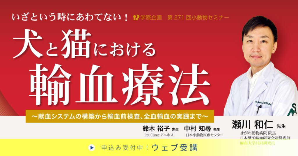 瀬川和仁先生「いざという時にあわてない! 犬と猫における輸血療法」獣医師セミナー