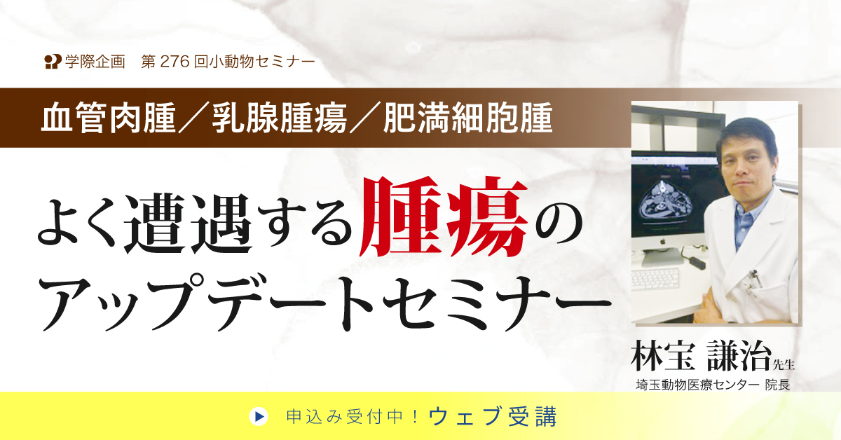 No.276 よく遭遇する腫瘍のアップデートセミナー