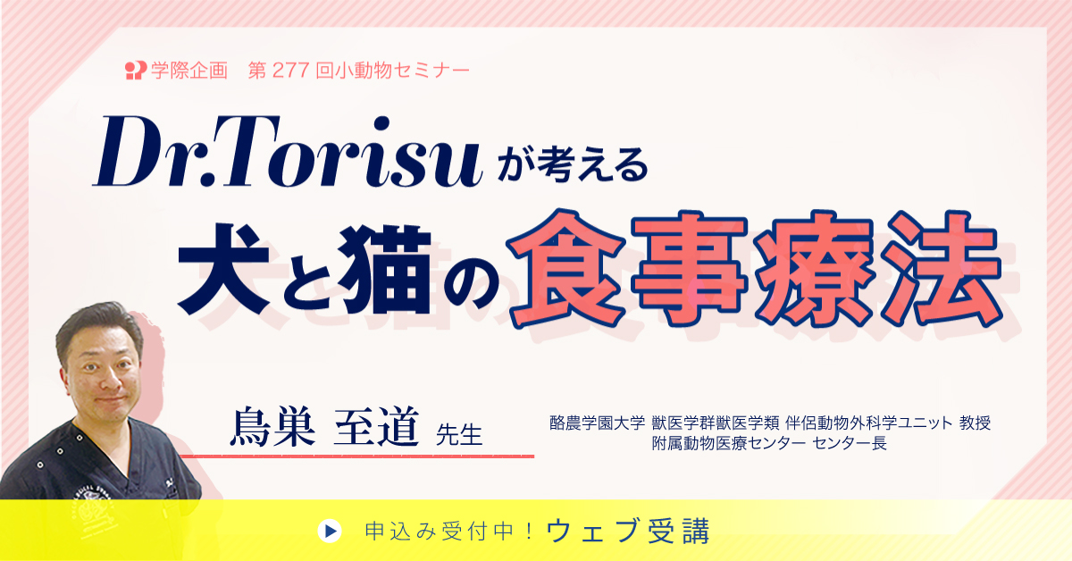 No.277 Dr.Torisuが考える犬と猫の食事療法