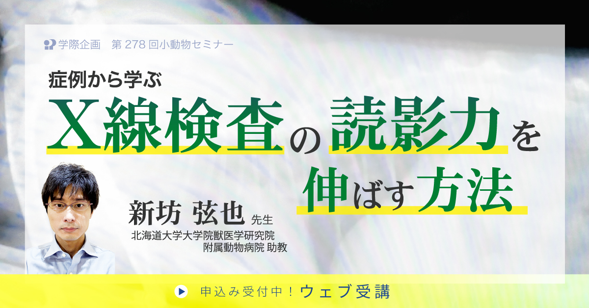 No.278 症例から学ぶX線検査の読影力を伸ばす方法