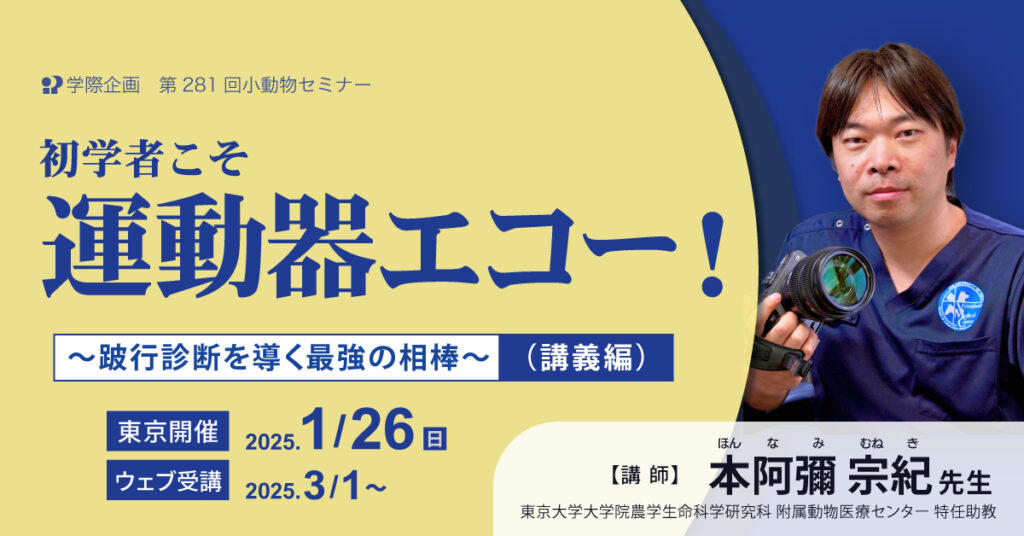 初学者こそ運動器エコー! 〜跛行診断を導く最強の相棒〜(講義編)