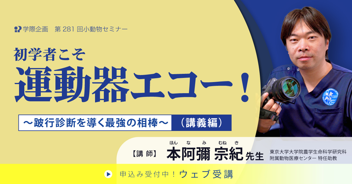 No.281 初学者こそ運動器エコー!