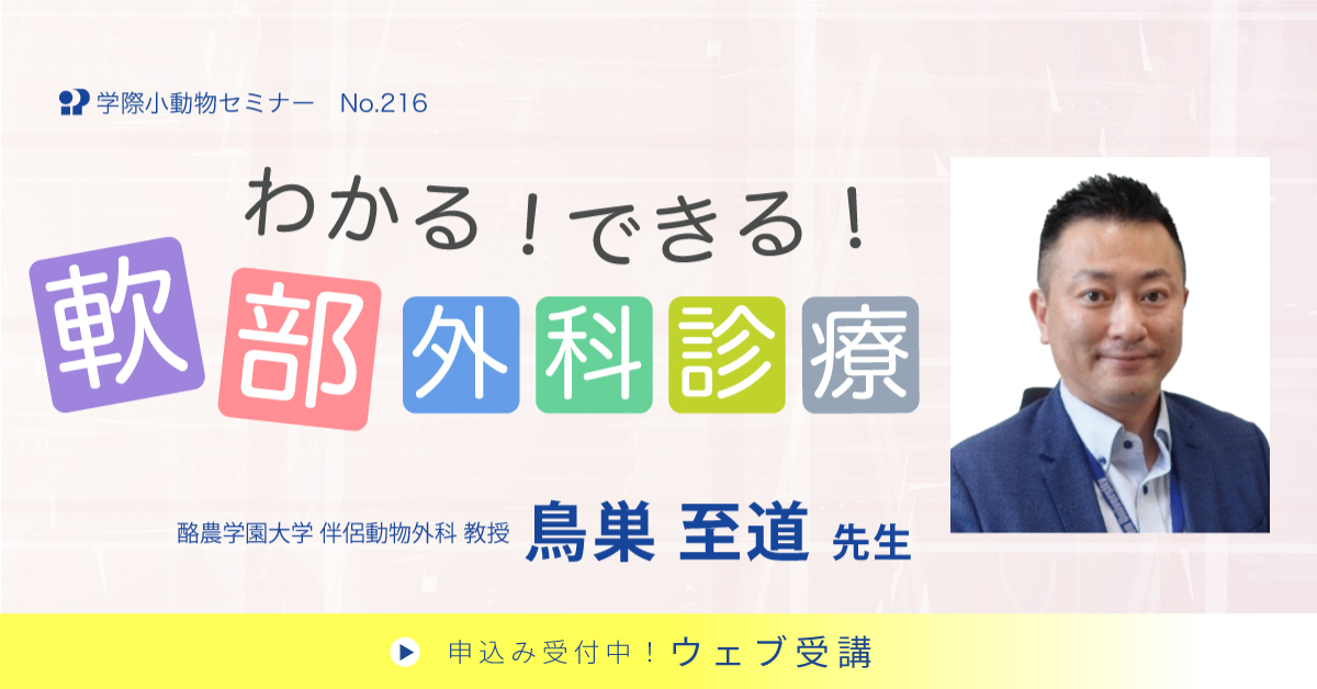 No.216 わかる! できる!軟部外科診療