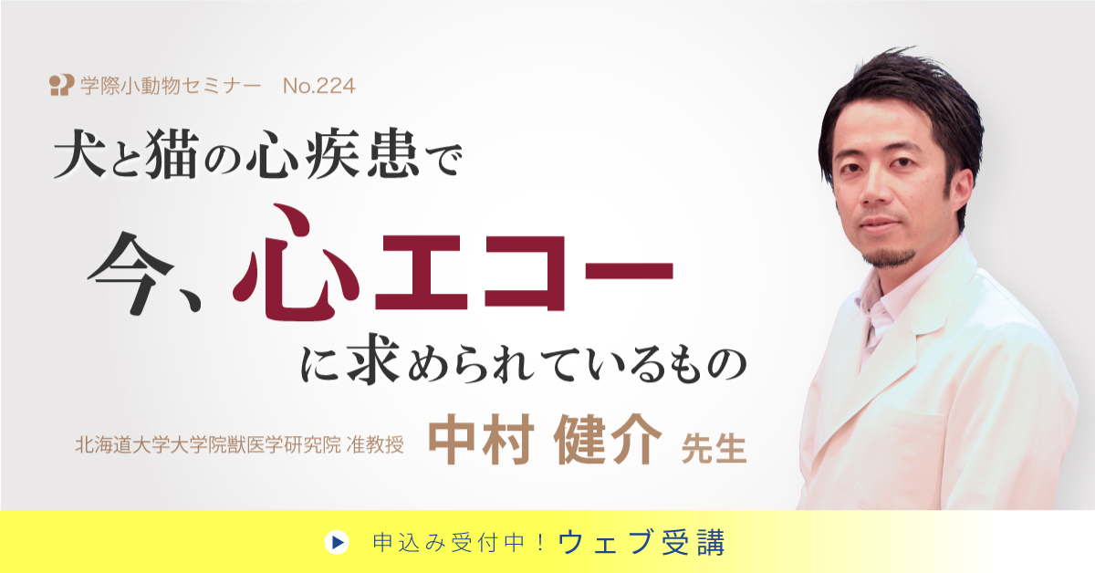 No.224 犬と猫の心疾患で今、心エコーに求められているもの