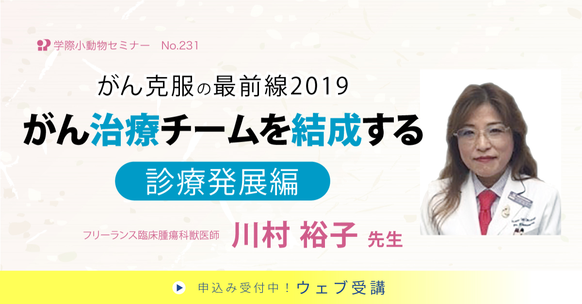 No.231 がん克服の最前線2019 がん治療チームを結成する