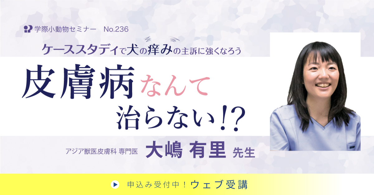 No.236 皮膚病なんて治らない!?