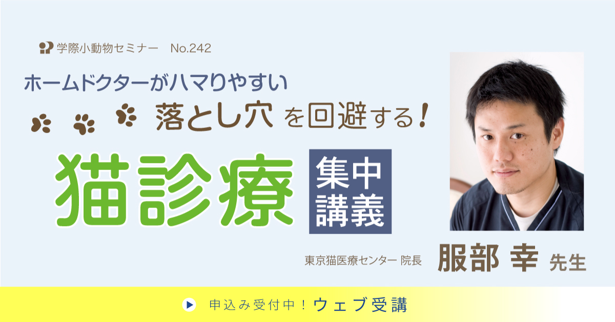No.242 ホームドクターがハマりやすい落とし穴を回避する!猫診療 集中講義