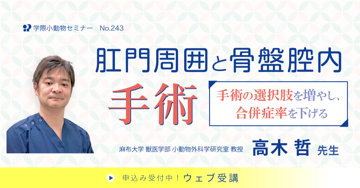 No.243 肛門周囲と骨盤腔内手術