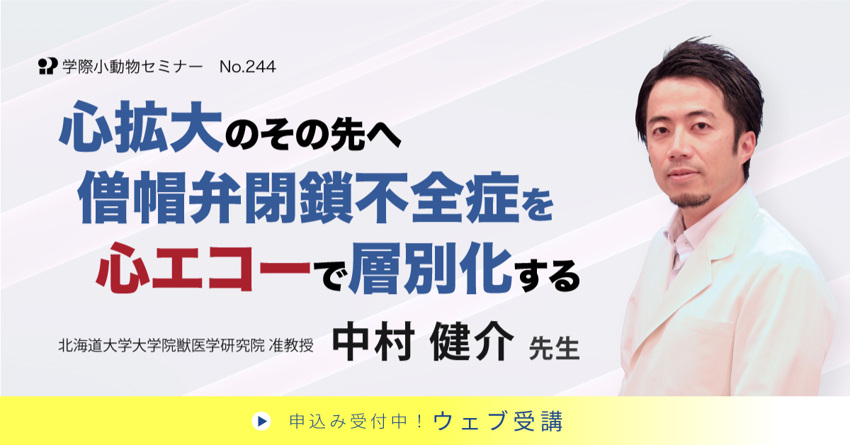 No.244 心拡大のその先へ 僧帽弁閉鎖不全症を心エコーで層別化する