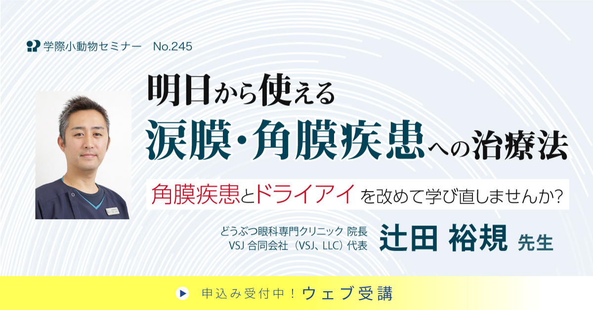 No.245 明日から使える涙膜・角膜疾患への治療法