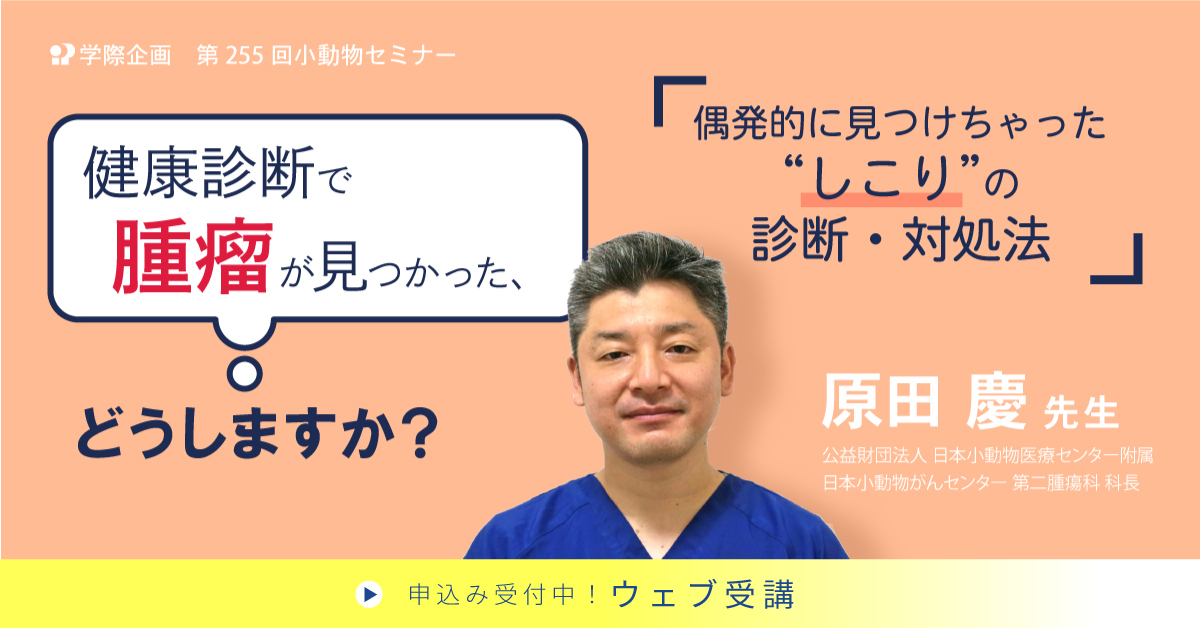 No.255 健康診断で腫瘤が見つかった、どうしますか?