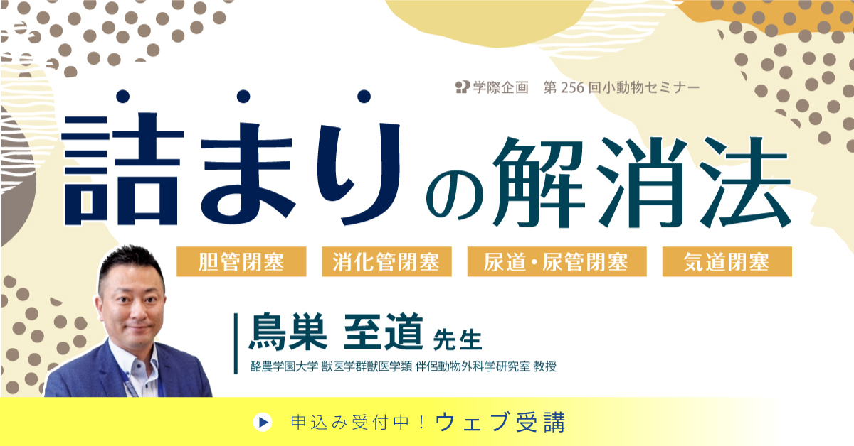 No.256 詰まりの解消法