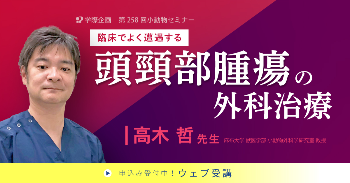 No.258 頭頸部腫瘍の外科治療