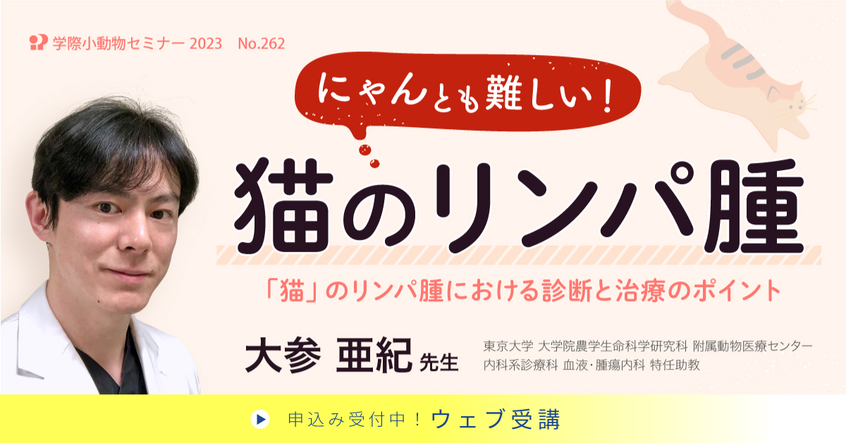 No.262 にゃんとも難しい!猫のリンパ腫