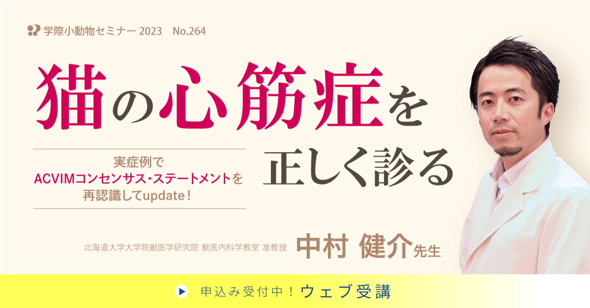 No.264 猫の心筋症を正しく診る