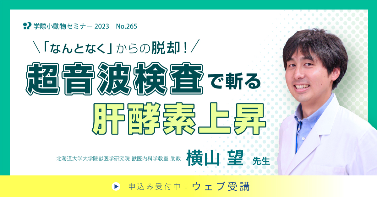 No.265 超音波検査で斬る肝酵素上昇