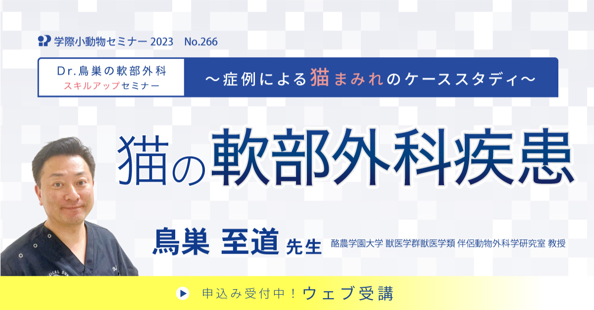 No.266 〜Dr.鳥巣の軟部外科スキルアップセミナー〜 猫の軟部外科疾患