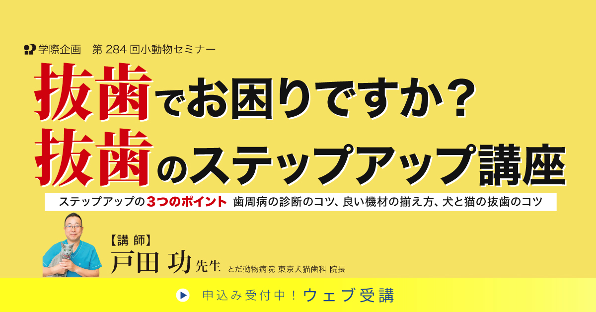 No.284 抜歯でお困りですか? 抜歯のステップアップ講座