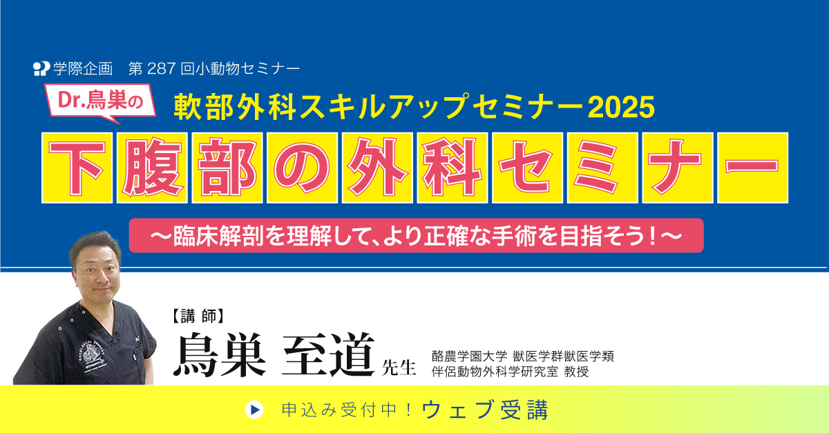 No.287 Dr.鳥巣の軟部外科スキルアップセミナー2025 下腹部の外科セミナー