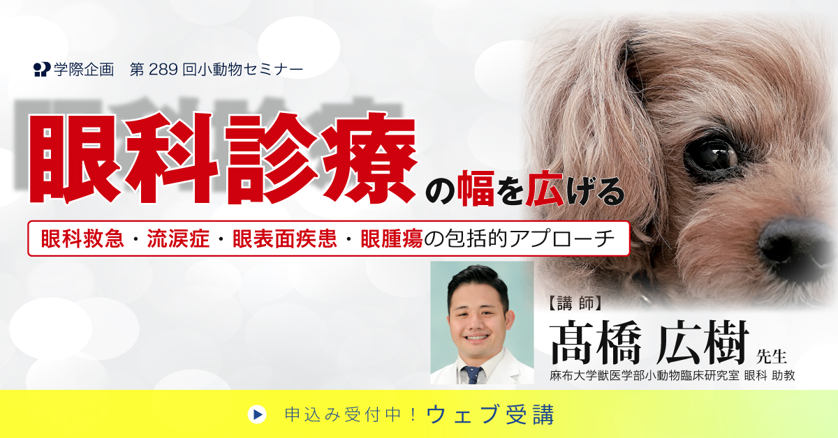 No.289 眼科診療の幅を広げる