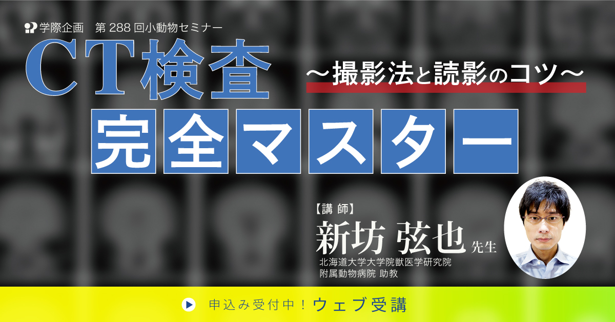 No.288 CT検査 完全マスター