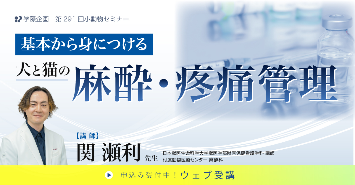 No.291　犬と猫の麻酔・疼痛管理