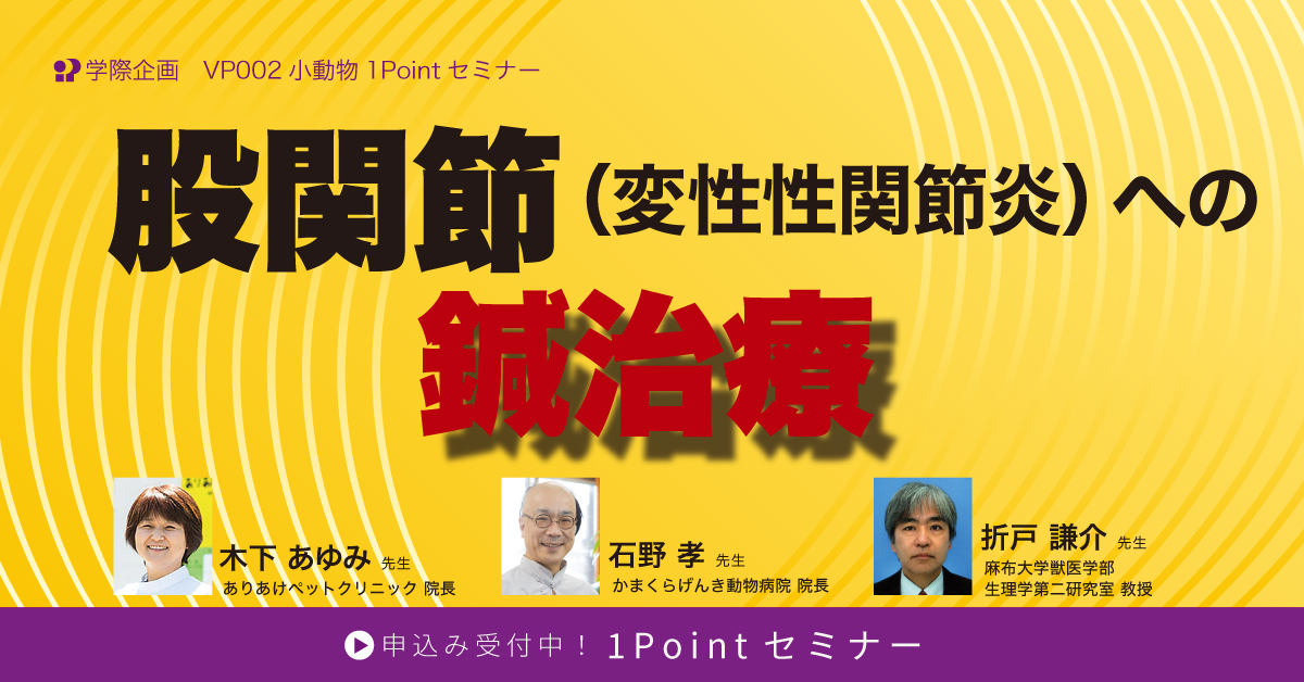 VP002　股関節（変性性関節炎）への鍼治療